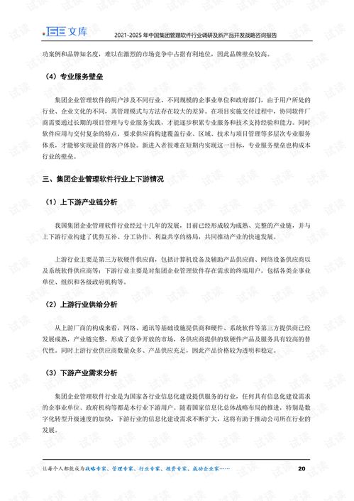 2021-2025年中國集團(tuán)管理軟件行業(yè)趨勢與創(chuàng)新開發(fā)戰(zhàn)略報(bào)告